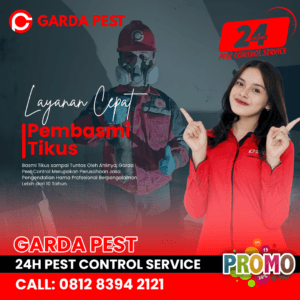 Jasa Pembasmi Tikus Demak