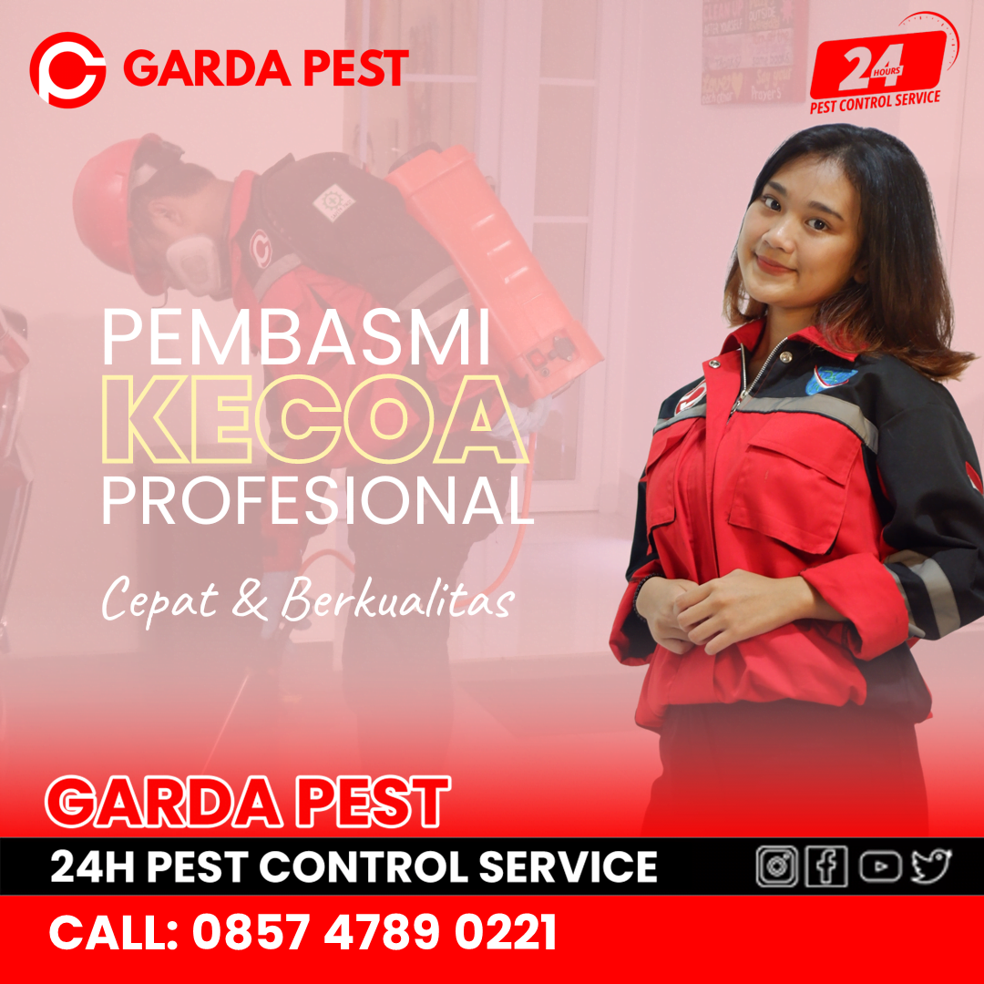 Jasa Pembasmi Kecoa di Jogja