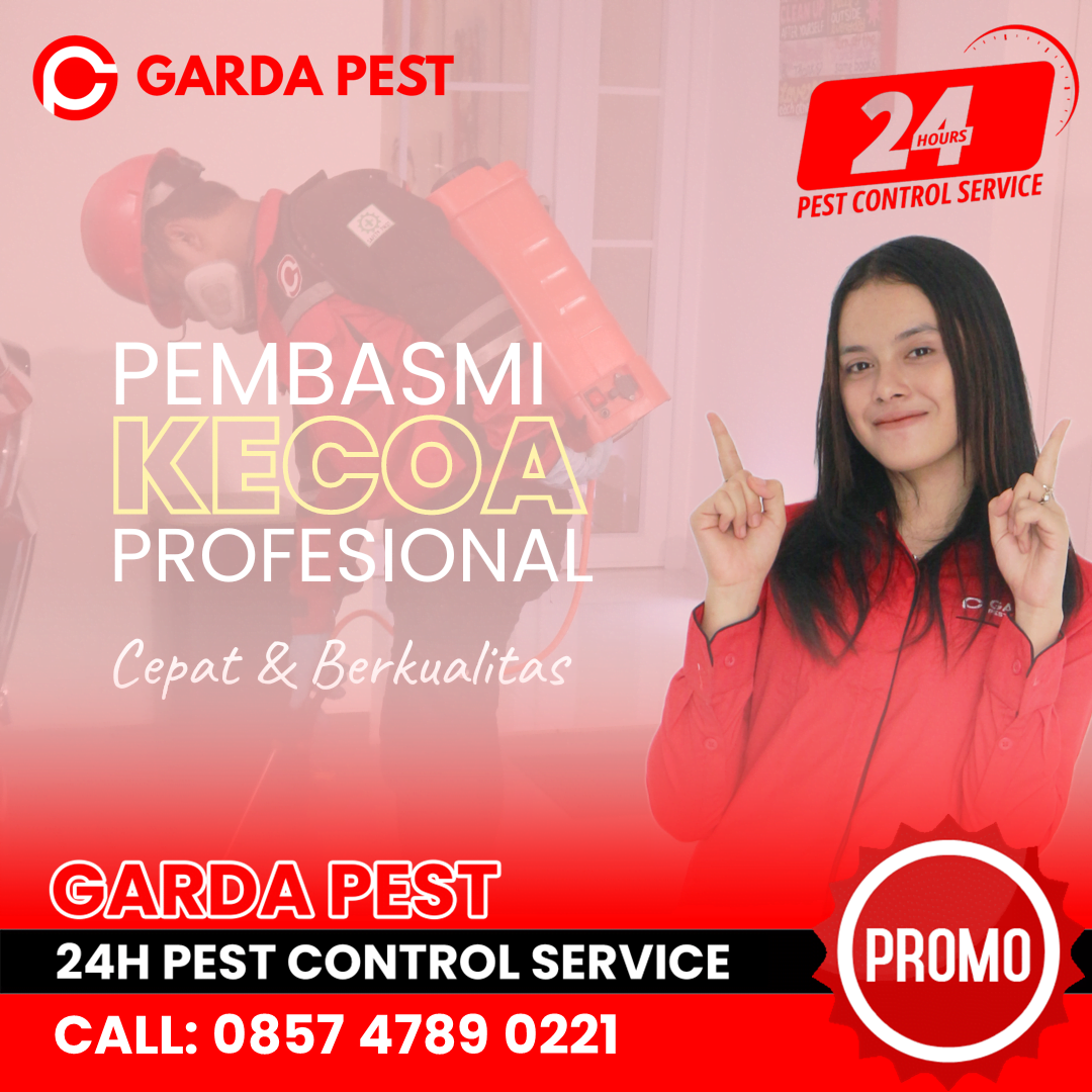 Jasa Pembasmi Kecoa Pemalang Bergaransi 24 Jam