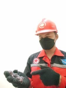 Cara Tikus Berkembang Biak dan Cara Mengendalikannya