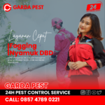 Biaya Fogging 1 RT Dengan Harga Terjangkau Biaya Fogging 1 RT Dengan Harga Terjangkau
