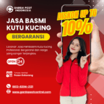 Jasa Pembasmi Kutu Kucing Bergaransi