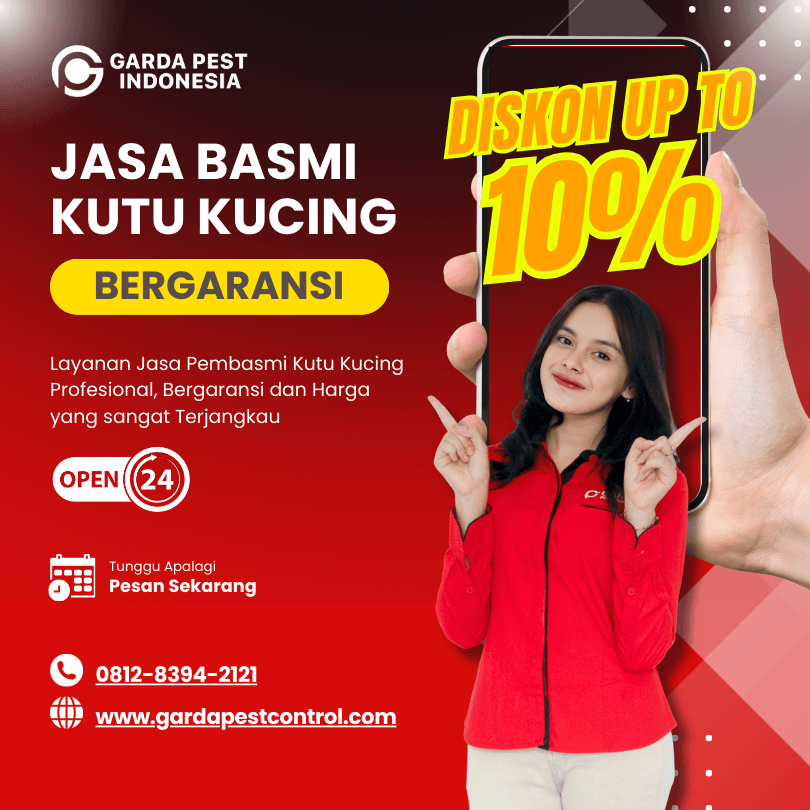 Jasa Pembasmi Kutu Kucing Bandung