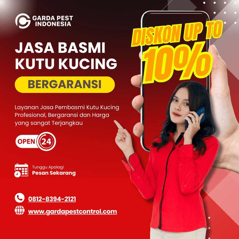 Jasa Pembasmi Kutu Kucing Jogja