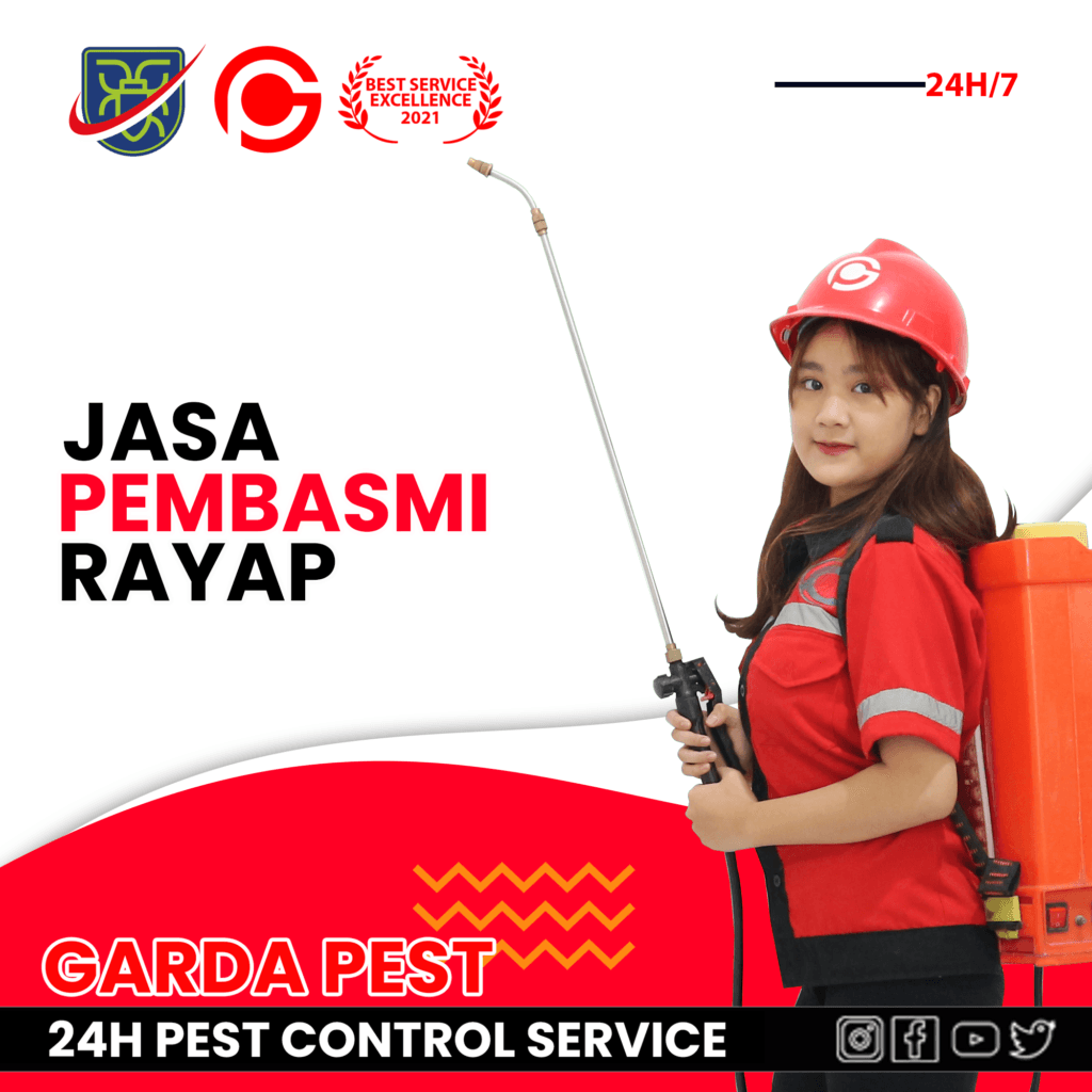 Jasa Pembasmi Rayap