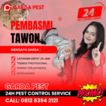 Jasa Pembasmi Tawon di Batam
