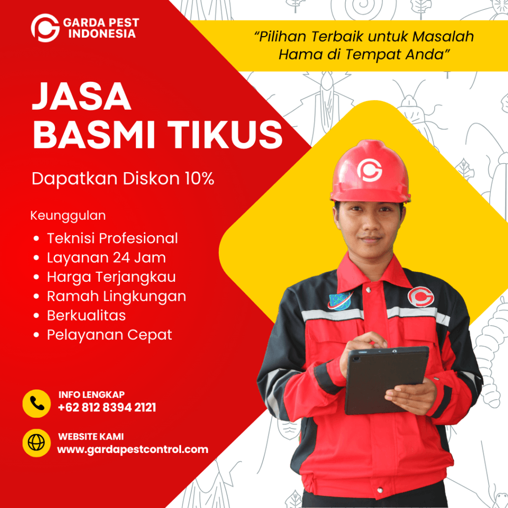 Jasa Pembasmi Tikus di Bantul Jogja Layanan Cepat 24 Jam