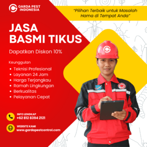Jasa Pembasmi Tikus Batam Sampai Tuntas