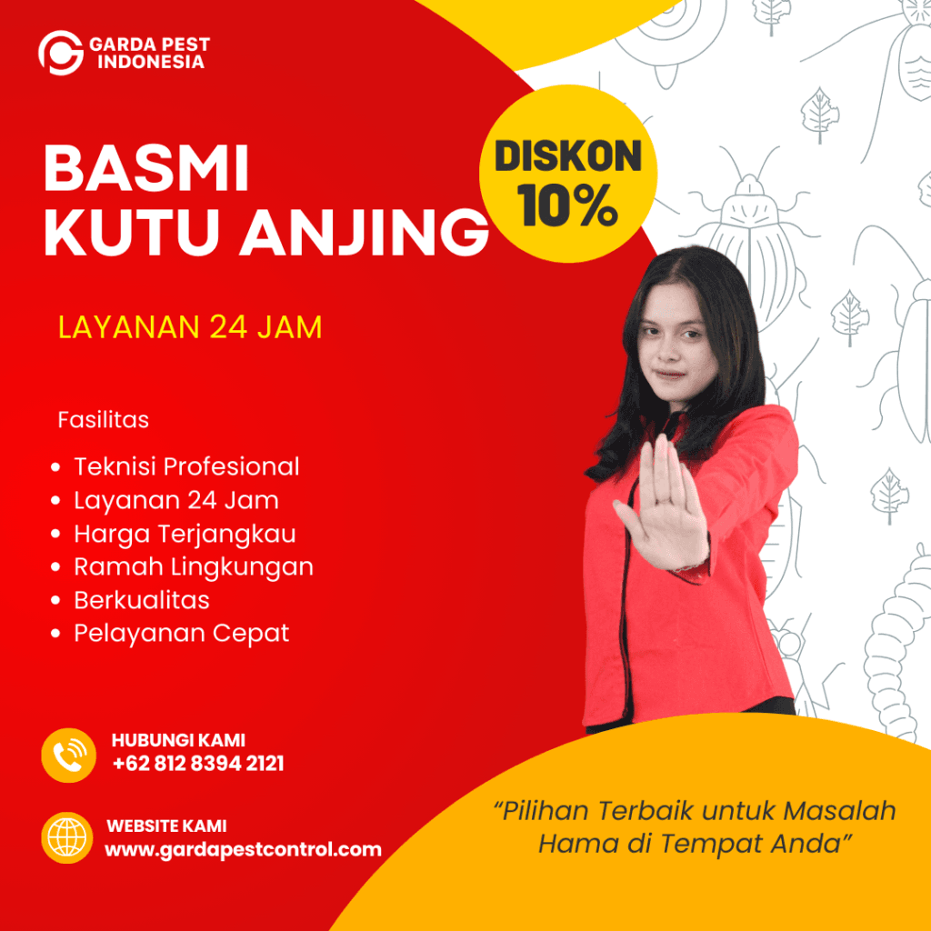 Jasa Pembasmi Kutu Anjing Jakarta Utara