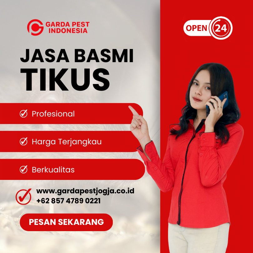 Jasa Pembersih Bangkai Tikus Terdekat Sekitar Anda