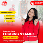 Jasa Fogging Nyamuk Termurah