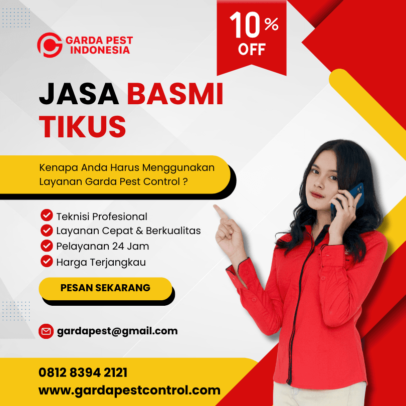 Jasa Pembasmi Tikus di Denpasar Bali
