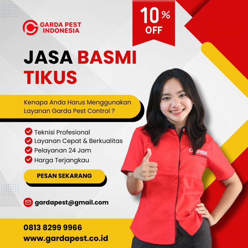 Jasa Pembasmi Tikus di Bantul Jogja Layanan Cepat 24 Jam