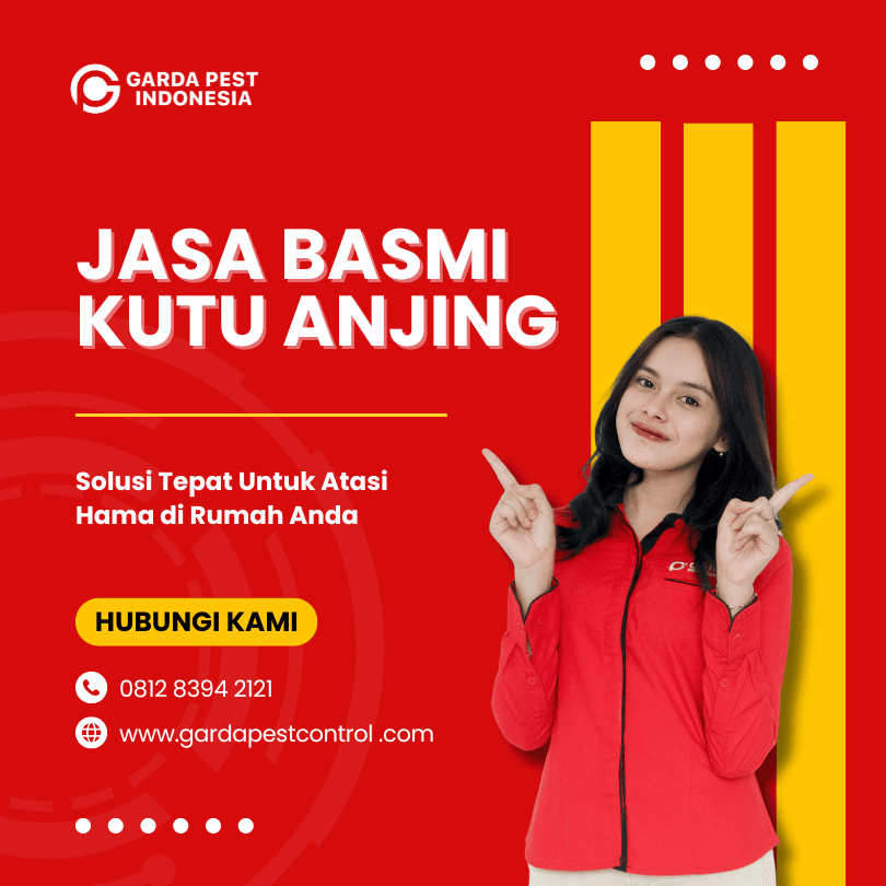 Jasa Pembasmi Kutu Anjing Bekasi