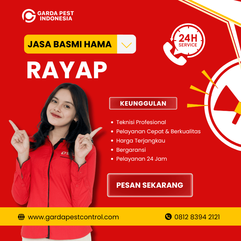 Jasa Pembasmi Rayap Solo