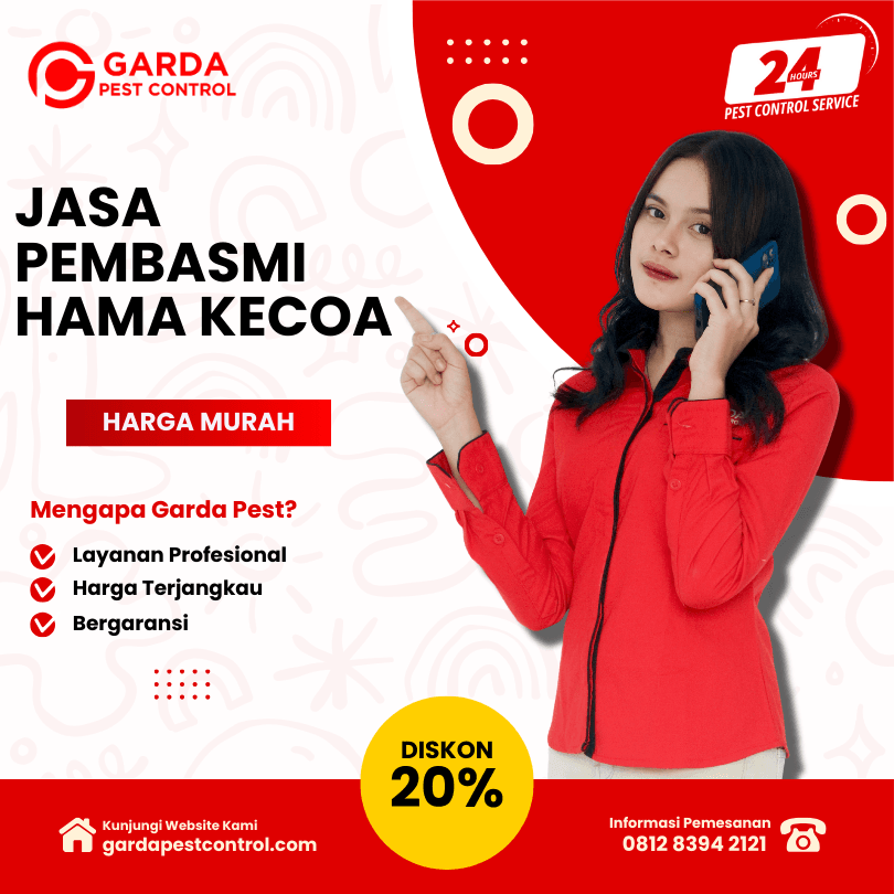Jasa Pembasmi Kecoa di Apartemen Bandung