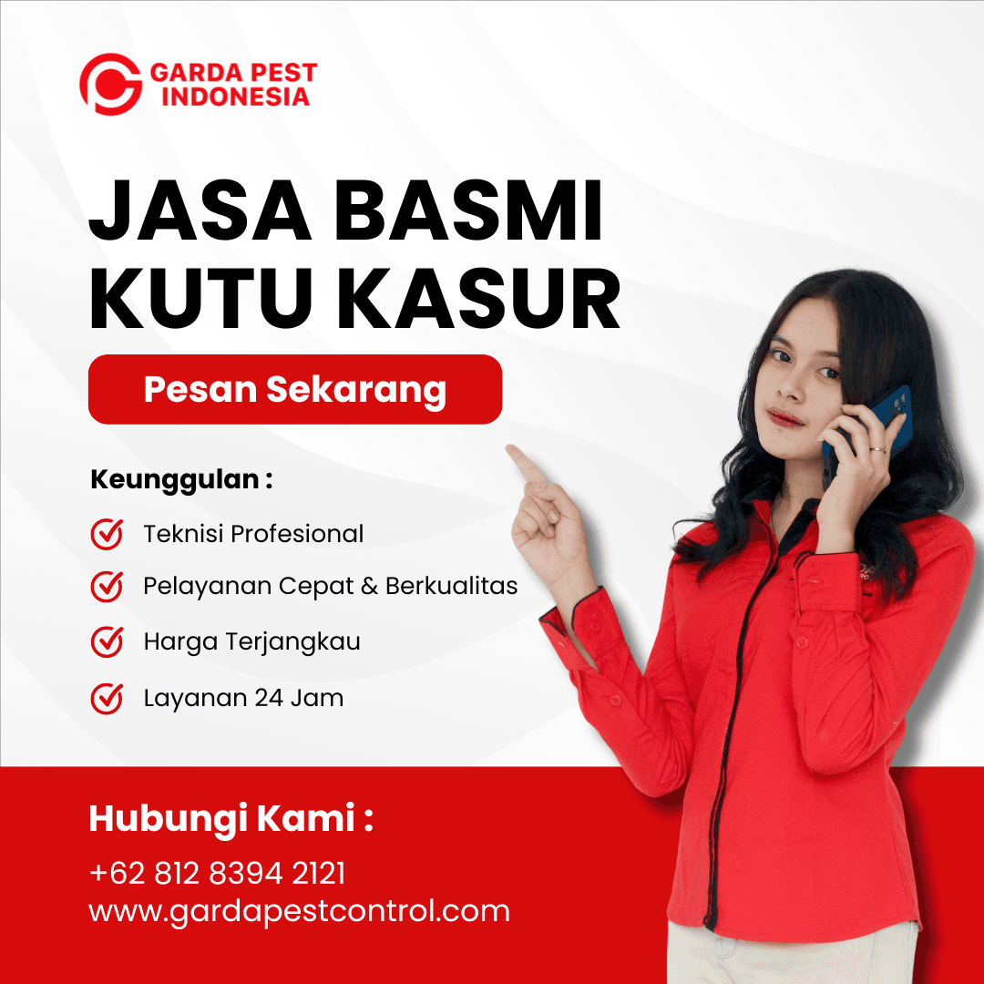 Jasa Pembasmi Kutu Kasur Bandung