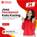 Jasa Pembasmi Kutu Kucing Murah