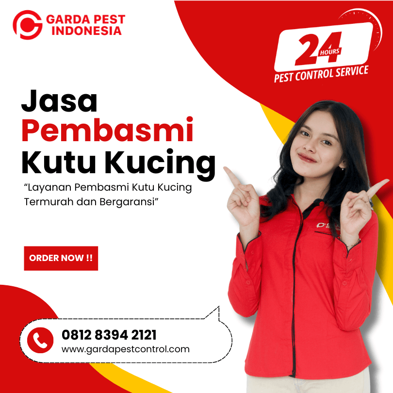 Jasa Pembasmi Kutu Kucing Semarang