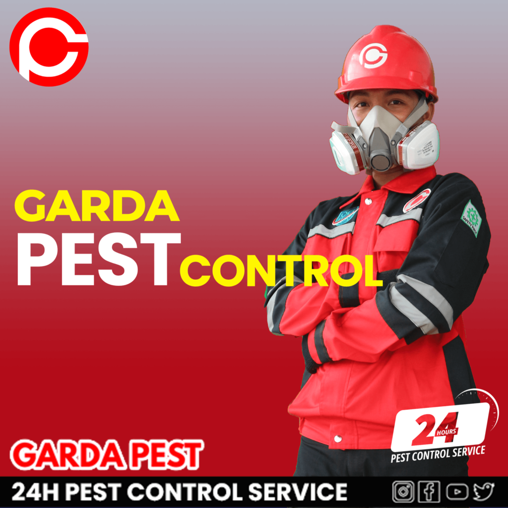 Pest Control Malang Layanan Profesional