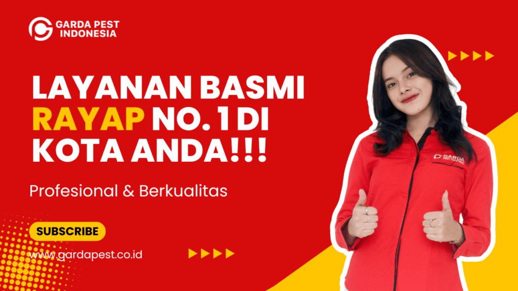 Jasa Anti Rayap Terdekat Sekitar Anda