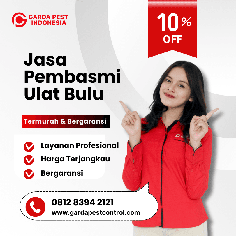 Jasa Pembasmi Ulat Bulu Bekasi