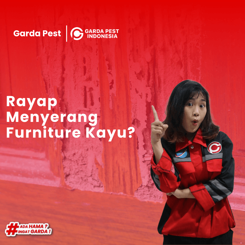 Jasa Anti Rayap Jakarta Selatan Berkualitas