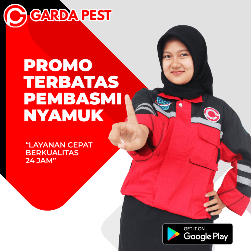 Promo Fogging Nyamuk Pekalongan