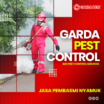 Jasa Pembasmi Nyamuk Solo