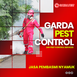 Jasa Fogging Nyamuk Solo