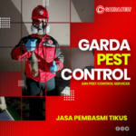 Jasa Pembasmi Tikus di Jogja Terbaik