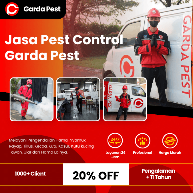 Pest Control Denpasar Cepat Berkualitas 24 Jam