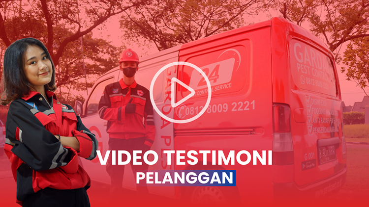 Testimoni Jasa Pembasmi Tikus di Daerah Cirebon dari Garda Pest