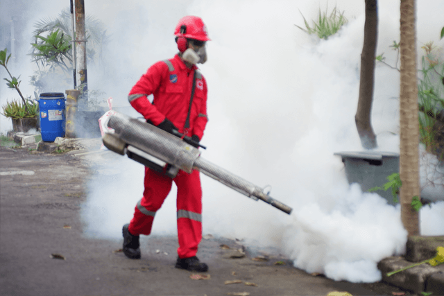 Jasa Fogging Nyamuk Terdekat Murah 24 Jam