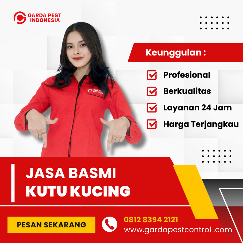 Jasa Pembasmi Kutu Kucing di Sukabumi Termurah No.1