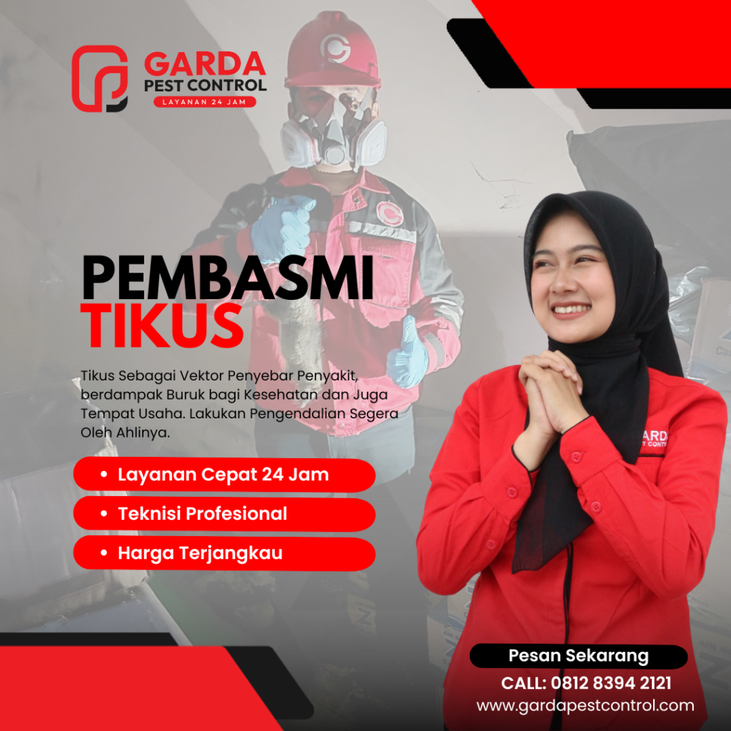 Jasa Pembasmi Tikus di Jogja Kota Yogyakarta