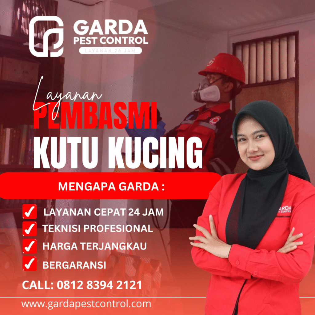 Jasa Pembasmi Kutu Kucing Di Jetis Jogja Layanan 24 Jam