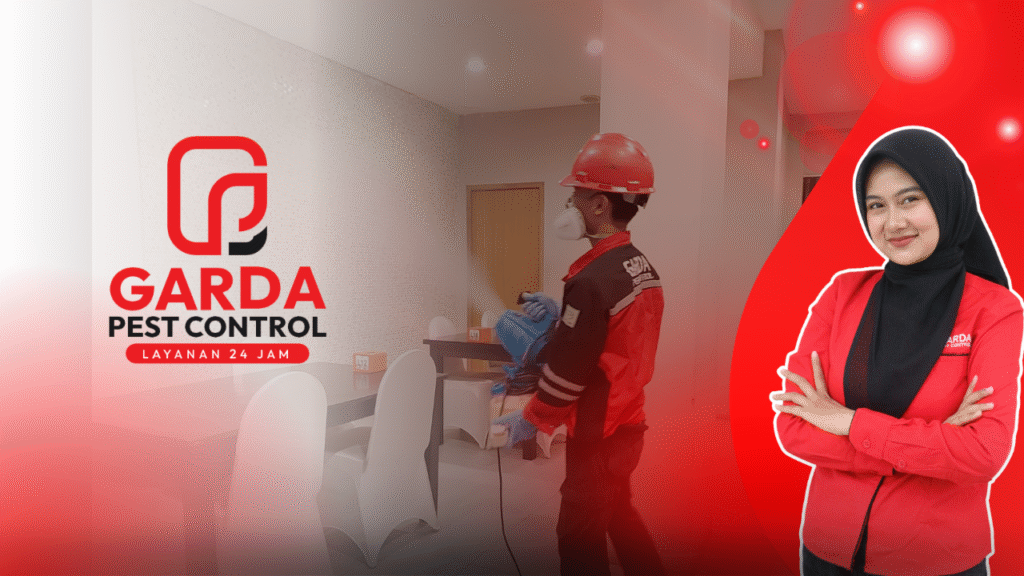 Jasa Pembasmi Kutu Kucing Di Jetis Jogja Layanan 24 Jam