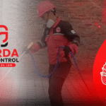 Jasa Anti Rayap Profesional Bergaransi Hingga 5 Tahun