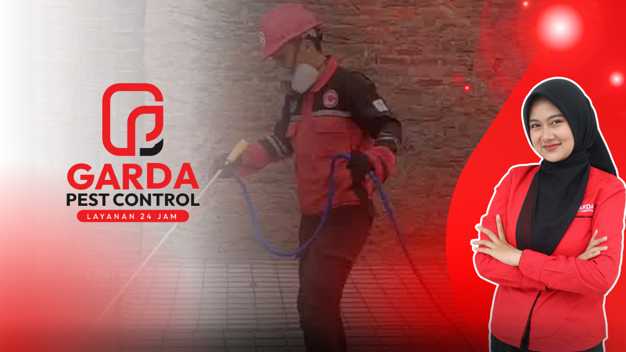 Jasa Anti Rayap Profesional Bergaransi Hingga 5 Tahun
