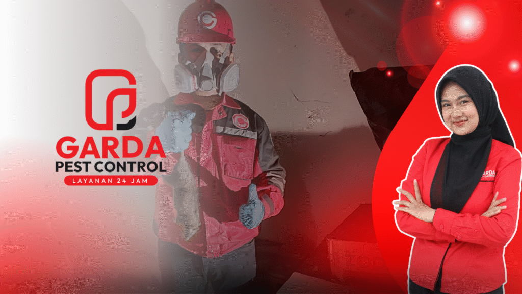 Jasa Pembasmi Tikus Surabaya Layanan 24 Jam Terbaik
