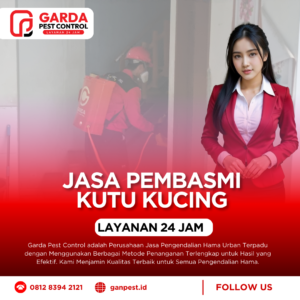Jasa Pembasmi Kutu Kucing Terdekat