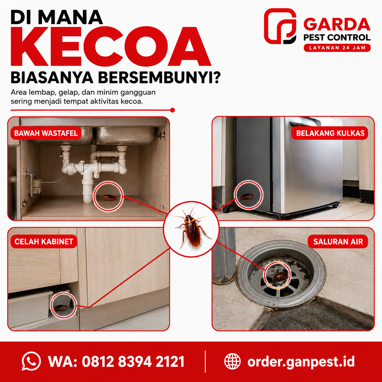 Harga Jasa Pembasmi Kecoa di Depok: Kisaran Biaya, Layanan, dan Cara Pilih yang Tepat